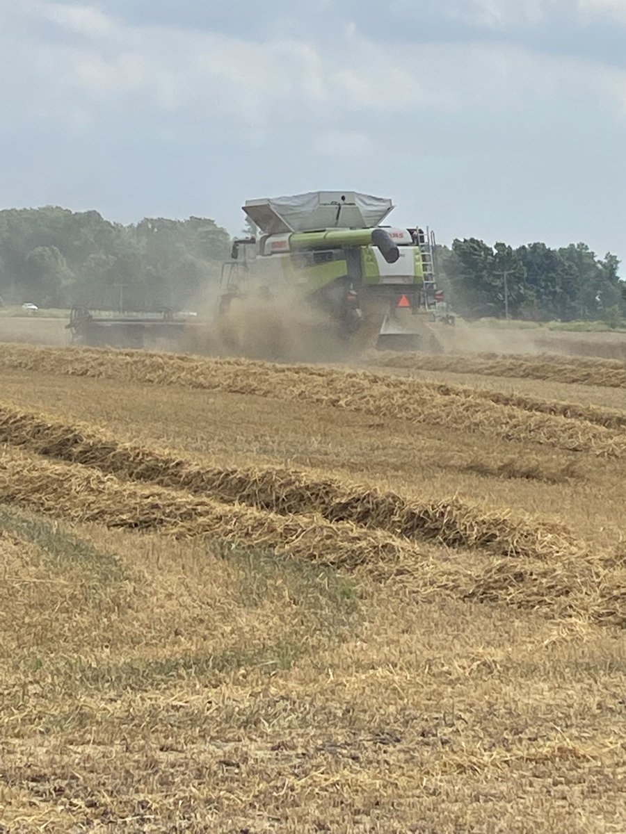 Vanessa Horton tweet media