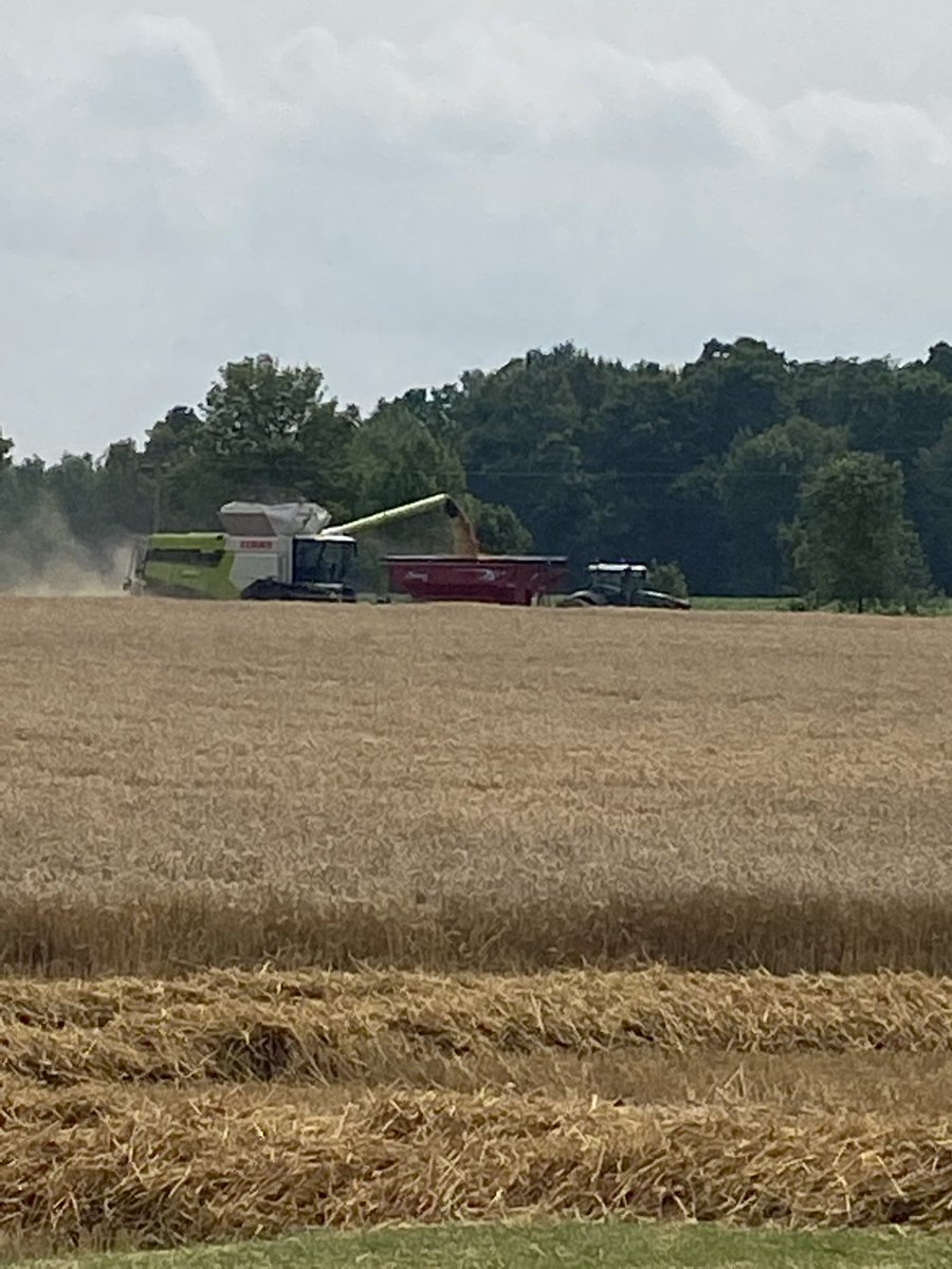 Vanessa Horton tweet media