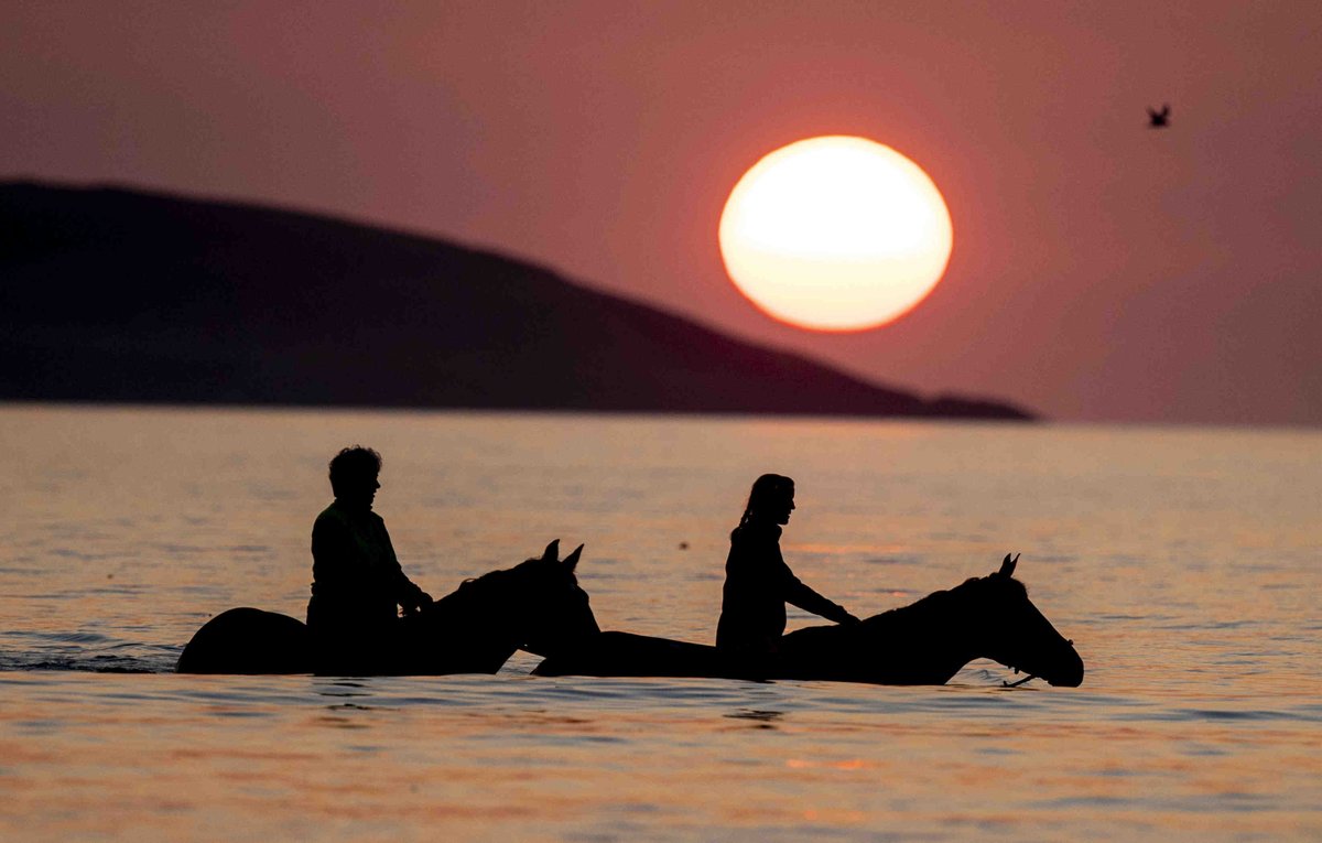 One of my favourite things to do! Sunrise horseback swim. Expertly caught on camera by <a href="/tom_honanphotos/">Tom Honan</a> and we even made it into Monday's  <a href="/IrishTimes/">The Irish Times</a>. Feel very fortunate to be able to experience this joy. 😍🦄
