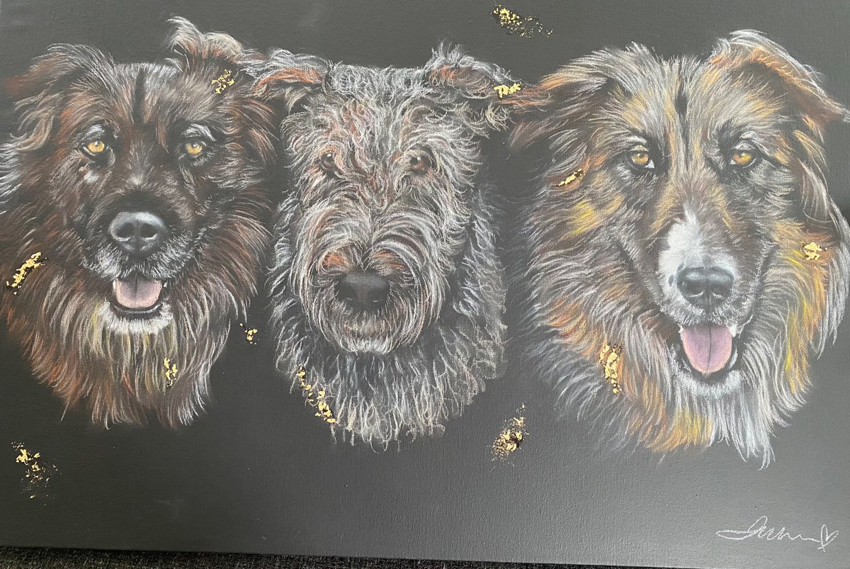 Picked up this beautiful piece of artwork yesterday …
             Benny, Belle &amp; Jorgie
                       ❤️❤️❤️
Thank you to the incredibly talented Jade Williamson for her realistic creation of these precious souls! 💕