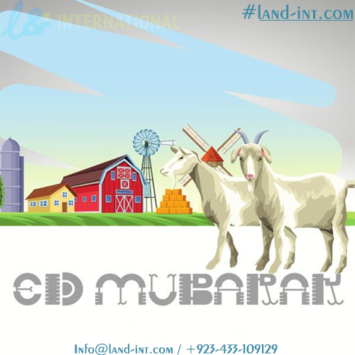 Our plan on this Eid festival is to give a favorable discounts to our customers around the world. This time is about sharing of love and happiness to others.
May Allah accept your sacrifices and bring joy to your heart and home. 
Eid-ul-Adha Mubarak🐐