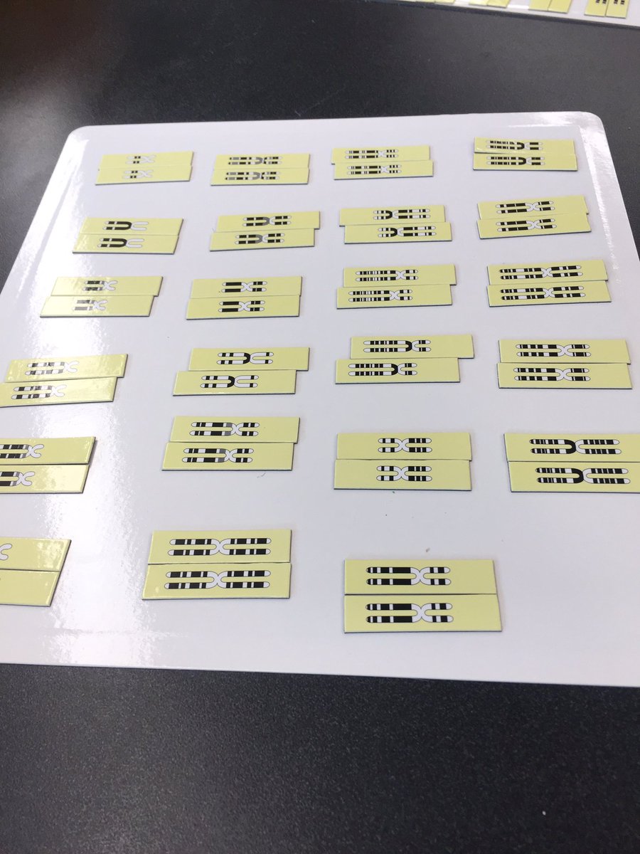 hollyastuart's tweet image. What did I do today, you ask? I had a blast during Day 1 of @RoperMountain’s Science PLUS Teacher Institute! Punnett Squares, DNA extraction, chromosome analysis, dominant and recessive gene case studies - whew!!

#stuartscience #teachbetter #tlap #scitlap