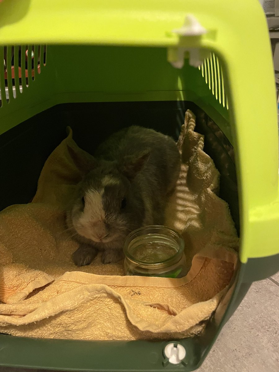 On s’occupe bien de lui vous inquiétez pas 

RT pour retrouver sa famille si il en a une 

Bise