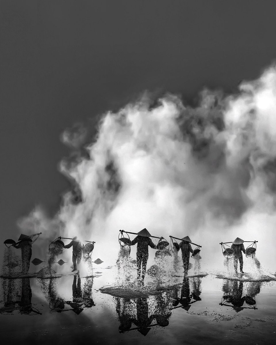 sofie_conte's tweet photo. White gold

Imagery by Sofie

#blackandwhitephotography #bw #bnw #blackandwhite #artwork #art #bnwphotography #landscape https://t.co/oXT2cWCvaw