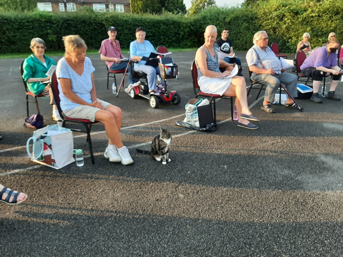 SOChoirs's tweet photo. Last rehearsal of term. Outside in the evening sun and we have a new recruit in the sopranos #ChoirCat https://t.co/S4dBihW4ef