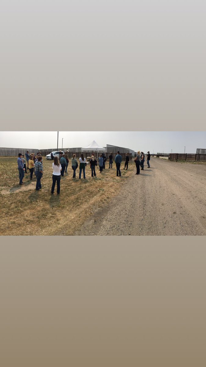 Lana Haight (@lanahaight) on Twitter photo Learning about water quality research led by <a href="/Gregpenner3/">Greg Penner</a> at the <a href="/LFCE_usask/">Livestock & Forage Centre of Excellence</a> field day presented by <a href="/Agribition/">Canadian Western Agribition</a>. Learning about water quality research led by <a href="/Gregpenner3/">Greg Penner</a> at the <a href="/LFCE_usask/">Livestock & Forage Centre of Excellence</a> field day presented by <a href="/Agribition/">Canadian Western Agribition</a>.
