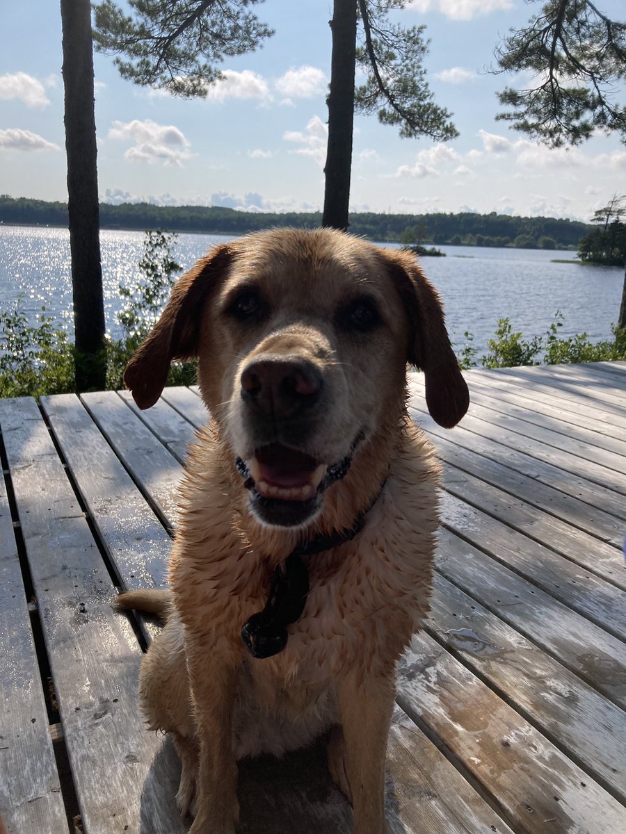 I have less free time lately so am making sure I enjoy it as much as I can. Hanging with this girl in the early evening sun is one of my faves. 😍