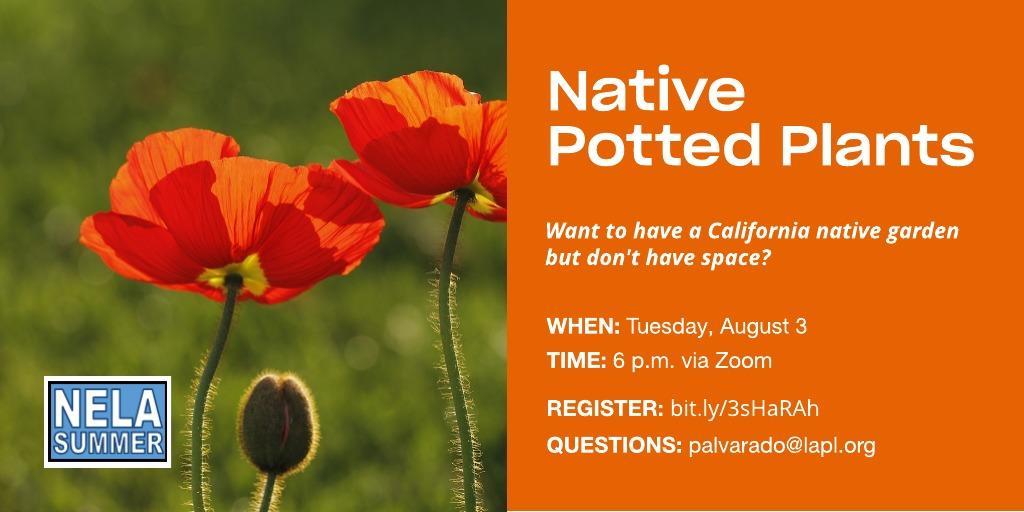ArroyoSeco5's tweet photo. Want to have a California native garden but don’t have the space? Potting to the rescue! Join us on 8/3 at 6:00 to learn from landscape designer Flor Mota just how to do it. Register: https://t.co/S9gmb9uWO5
#LAPL #NELASumer #NELA https://t.co/iKNI30h3Ln