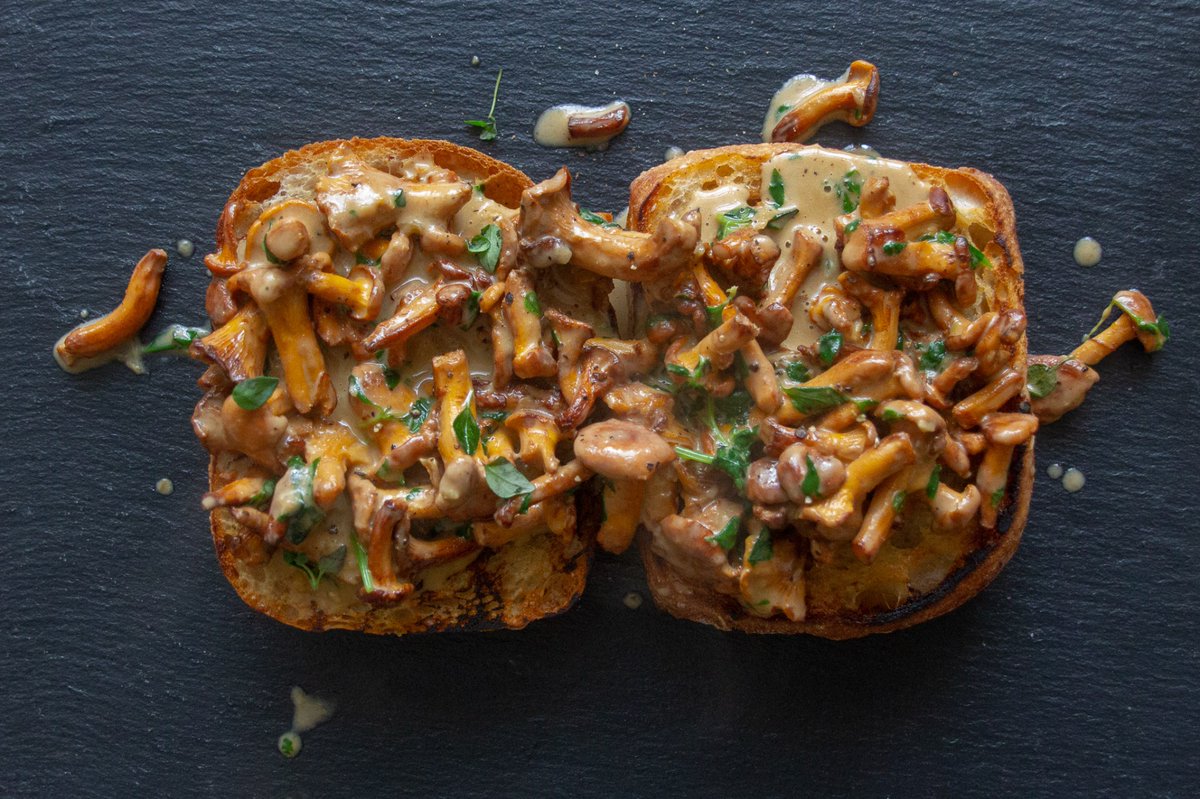NewToNordic's tweet photo. A good mushroom toast starts with the grilled bread. A recipe for creamy wild mushroom toast is on the blog: https://t.co/lRojNd5ARP https://t.co/7G1GyO5Aav