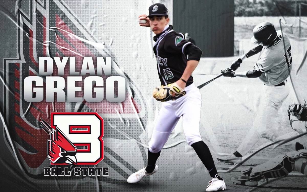 dylan grego tweet media