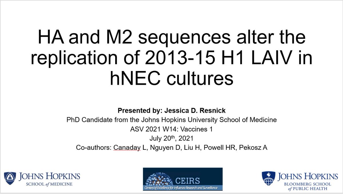 PhD student Jessica Resnick gave a talk about how different H1HA proteins can alter LAIV replication to close out the lab presentations for the day at #ASV2021