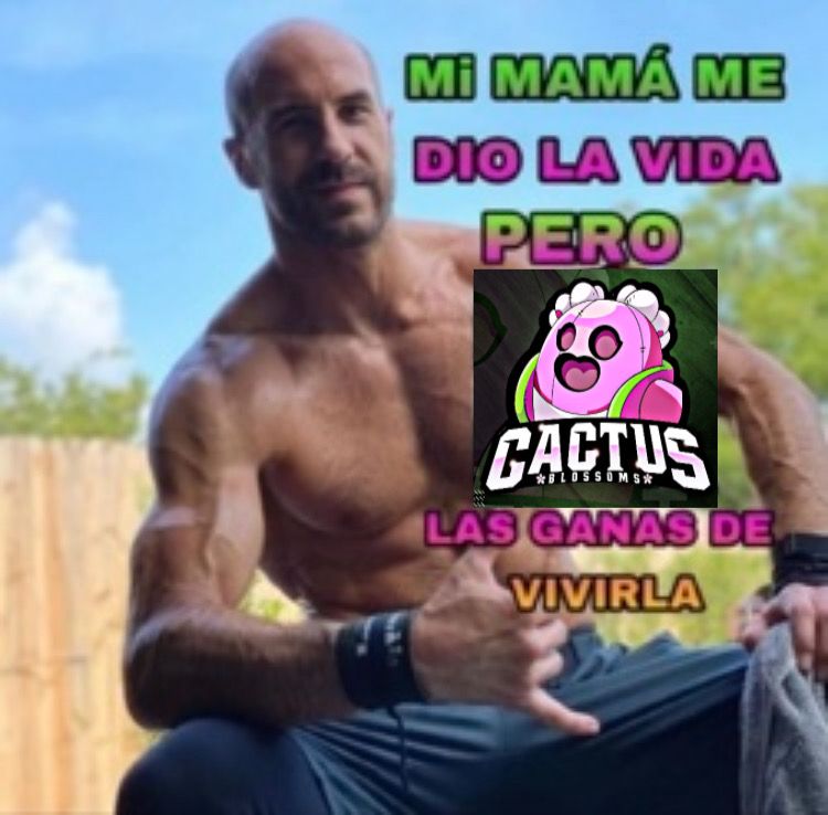 @LigaDiamanteBS <a href="/CactusJackBS_/">Cactus Jack 🌵</a>  Blossoms🌵🌸