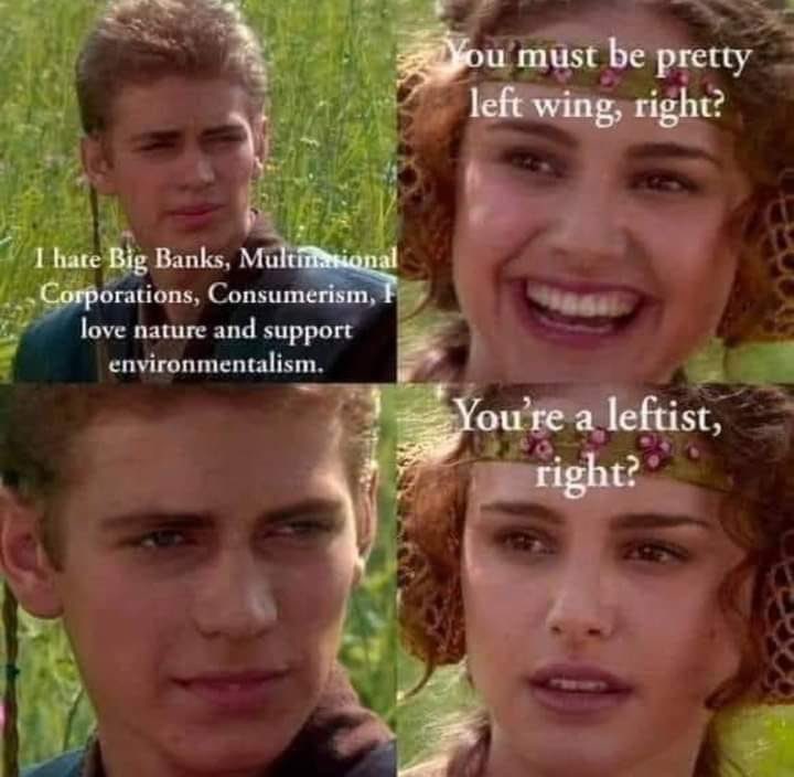 insectbeau's tweet image. Every time