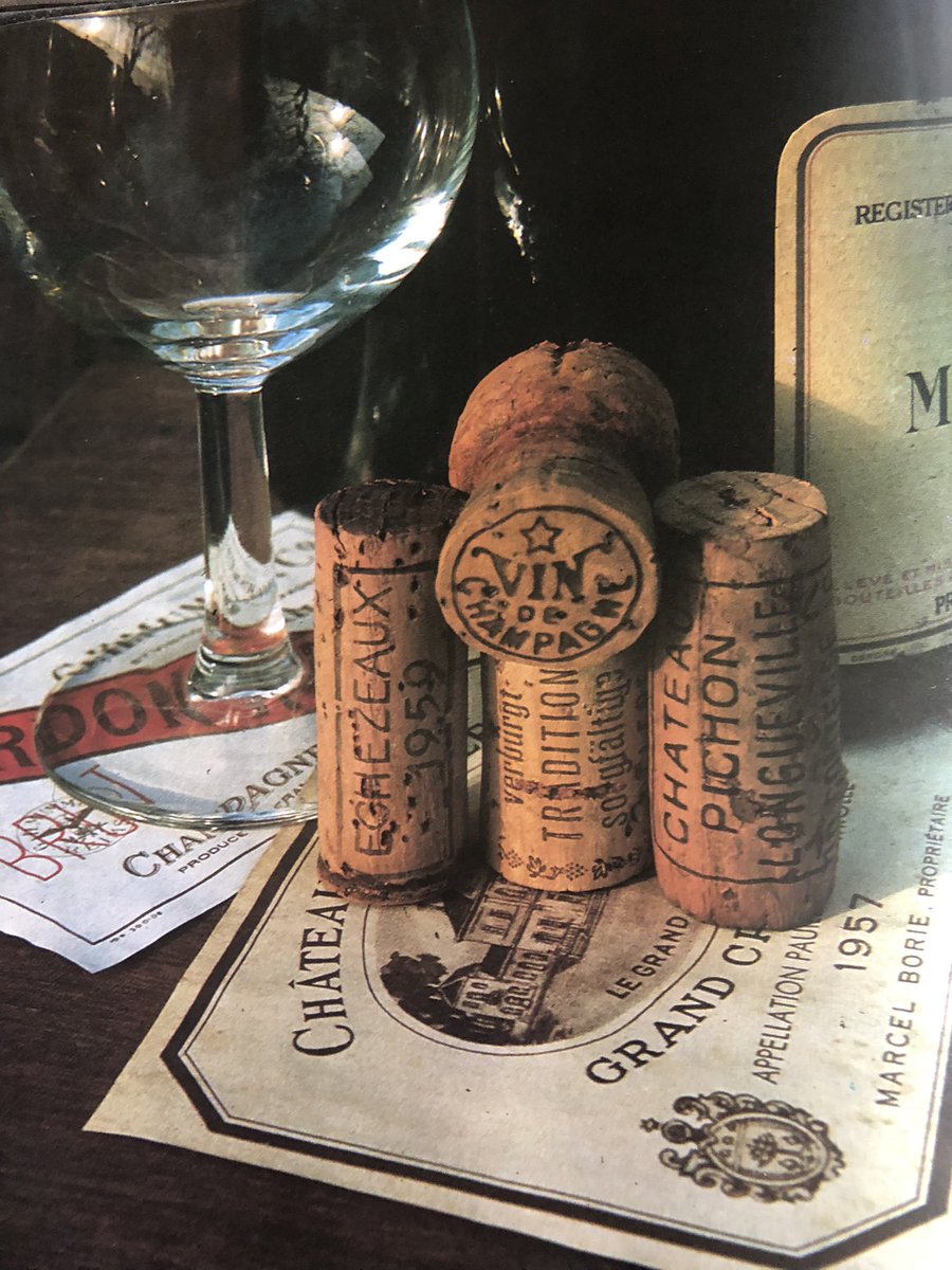 Make time for Wine 🍇