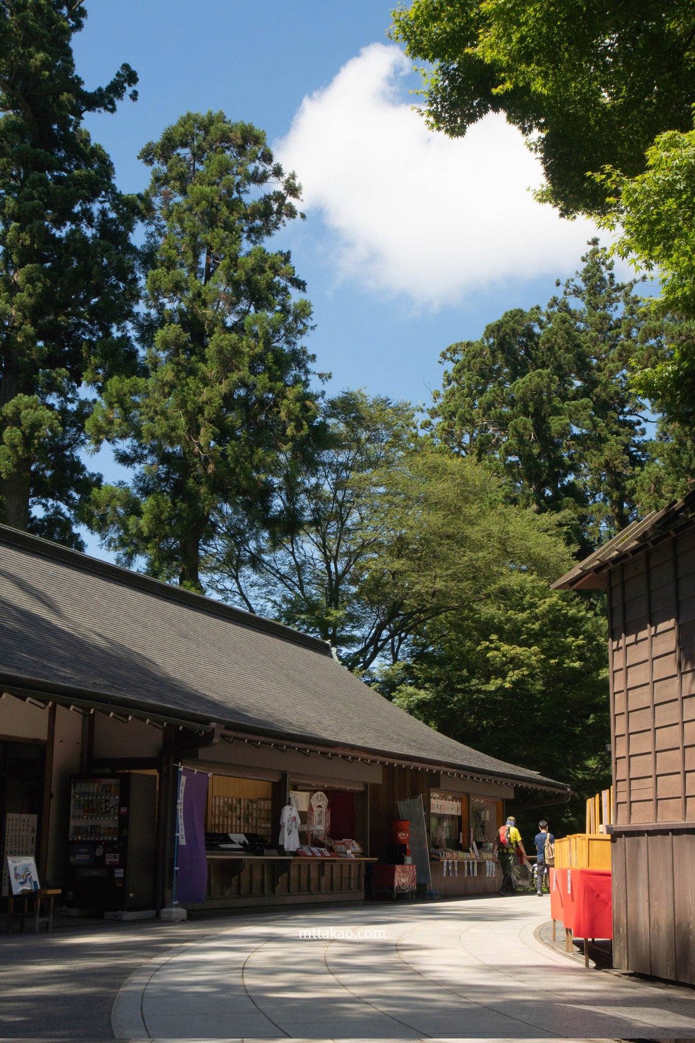 Mttakao Com 高尾山ゆりと紫陽花が同時に見られる薬王院参道 高尾山 写真好きな人と繋がりたい T Co Pmquslp6rx Twitter