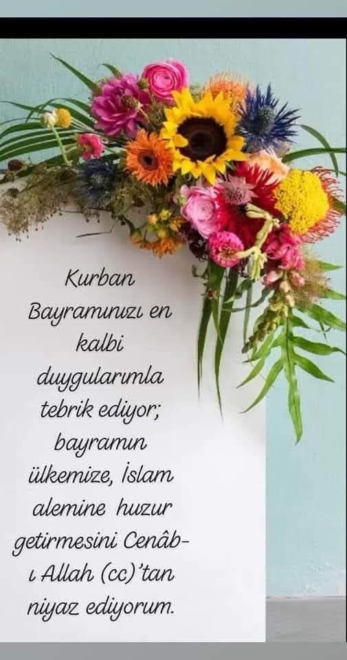 SALİM KALFA (@kalfasalim) on Twitter photo 