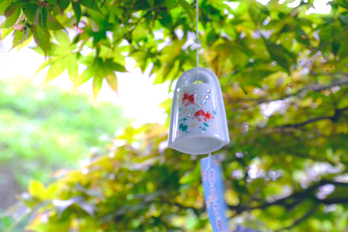Zero58533086's tweet photo. ɢ०ᵒᒄ ʍᵒ~ʳᐢⁱᐢᵍ･*:⋆゜Twitter
おはようございます👒*･

#今日は何の日
#日本三景の日

•*¨*•.¸¸☆*🎐*･

夏の音色
風に揺られて
ちりんちりん

風鈴に込めた
君への想いが
届きますように
യꕤ*.ﾟ

レンズの向こう側

𖡼.𖤣𖥧𖡼.𖤣𖥧. . 𖥧 𖥧 𖧧 ˒˒🌿
#写真好きな人と繋がりたい https://t.co/uO5YQYzQsD