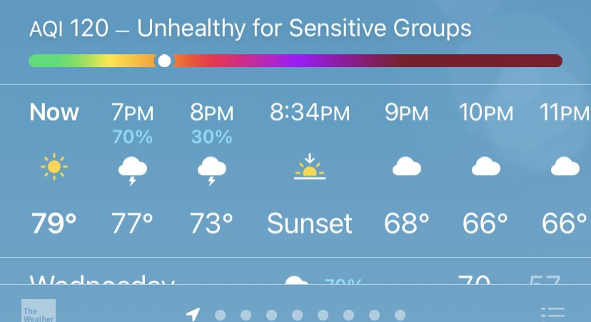 Sara Place tweet media