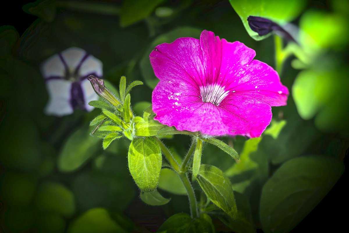 Мила Нильская (@mnilskaya1) on Twitter photo 