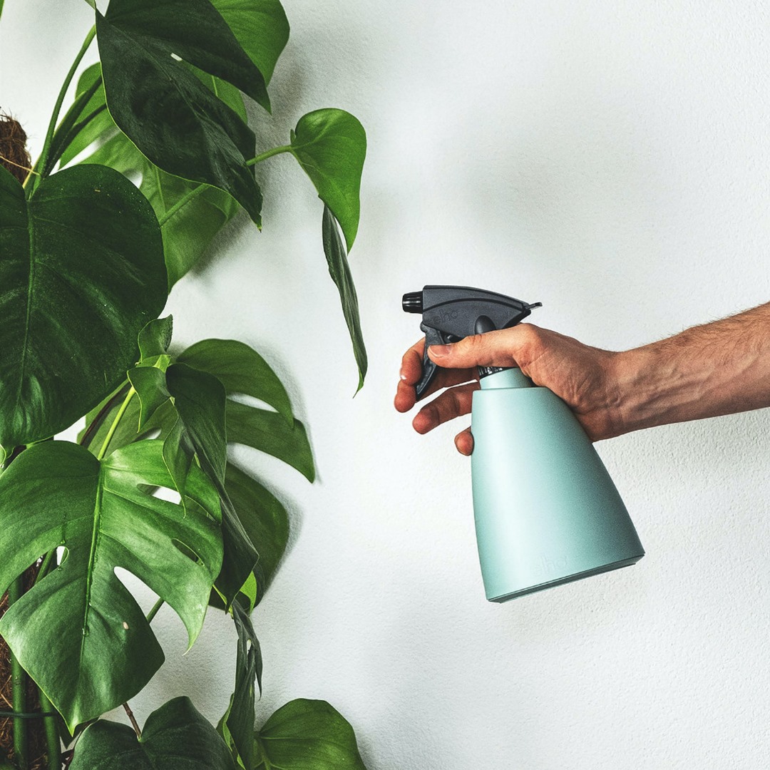 Do you have a green thumb? Use your love of plants to enhance your indoor air quality. House plants can help improve your #IAQ by removing toxins from the air.

Want to learn additional ways to improve your home's air quality? Contact us today! bobsheating.com