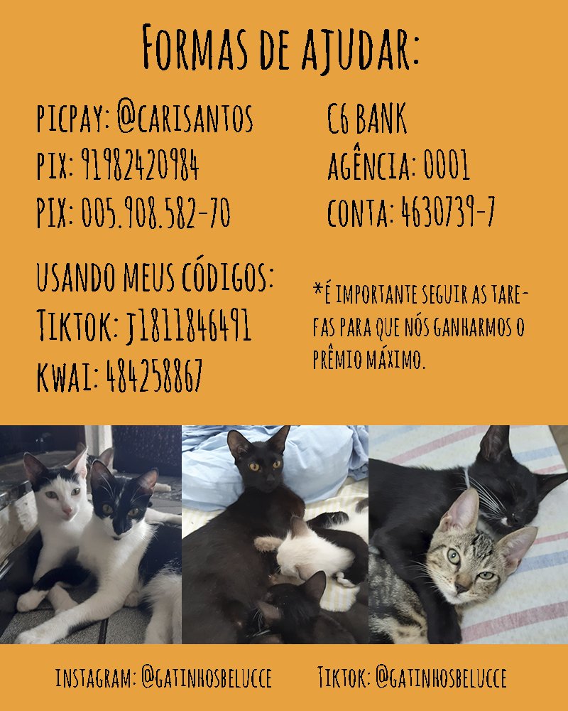 gatinhosdacah's tweet image. Então, galera, devido a pandemia e a doença da minha mãe, estamos com dificuldades de manter todos os gatos que foram resgatados. Por causa disso, resolvemos pedir ajuda para o abrigo até que os filhotes (10) sejam castrados e doados.