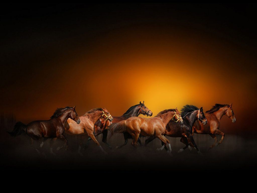 Write a short story every week. It's not possible to write 52 bad short stories in a row.
Ray Bradbury
#writing #film
Nasser Osman