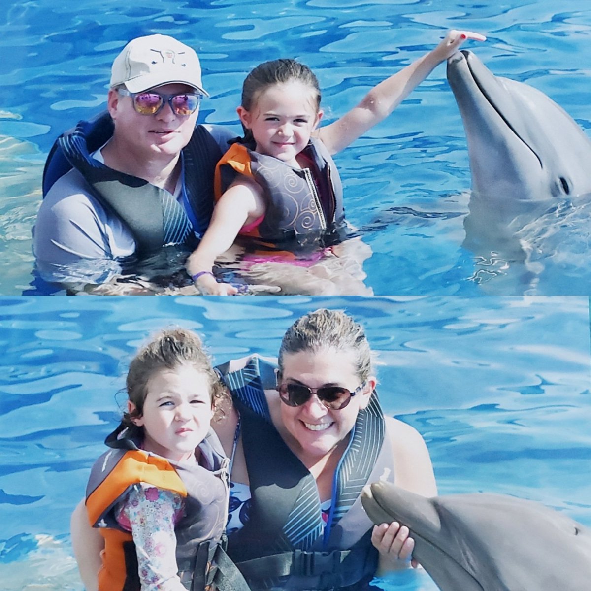 Swimming with the dolphins 🐬 #wiwildcatsummer