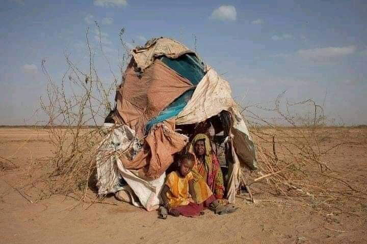 AbyanHamze's tweet photo. iska daa qof nooloo
dugaagaa ka didilaa
daymadooda caalkaa.
Tolow Yaa masuuliyada iska leh
oo hagraday https://t.co/cYSQFp7Ykj