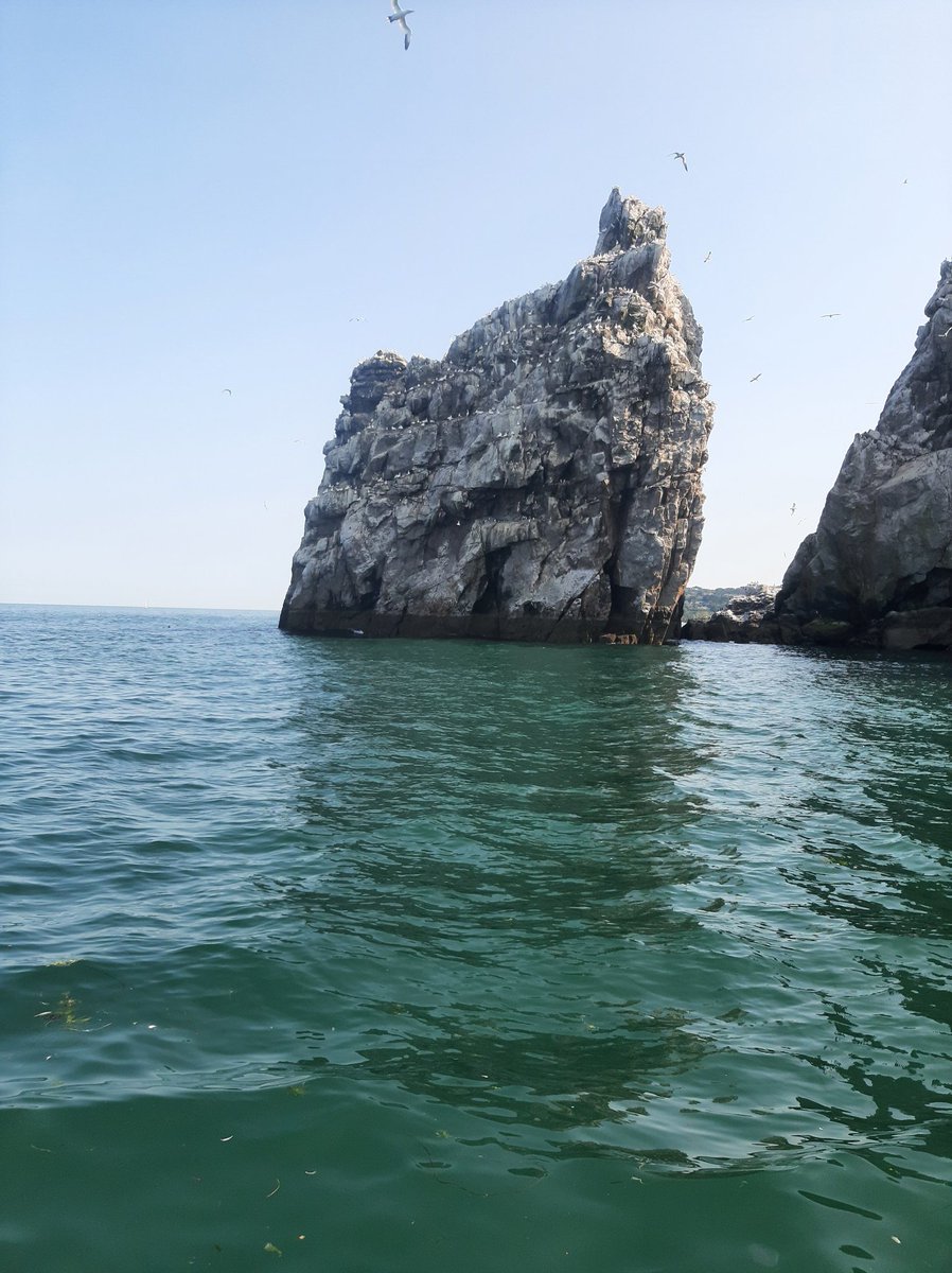 The stack at Ireland's Eye from 2 sides today, specStackular don't you think?