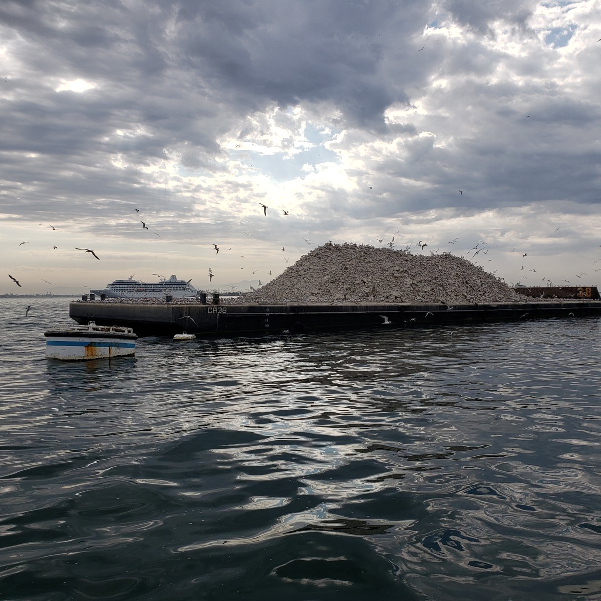 CA Science Center tweet media