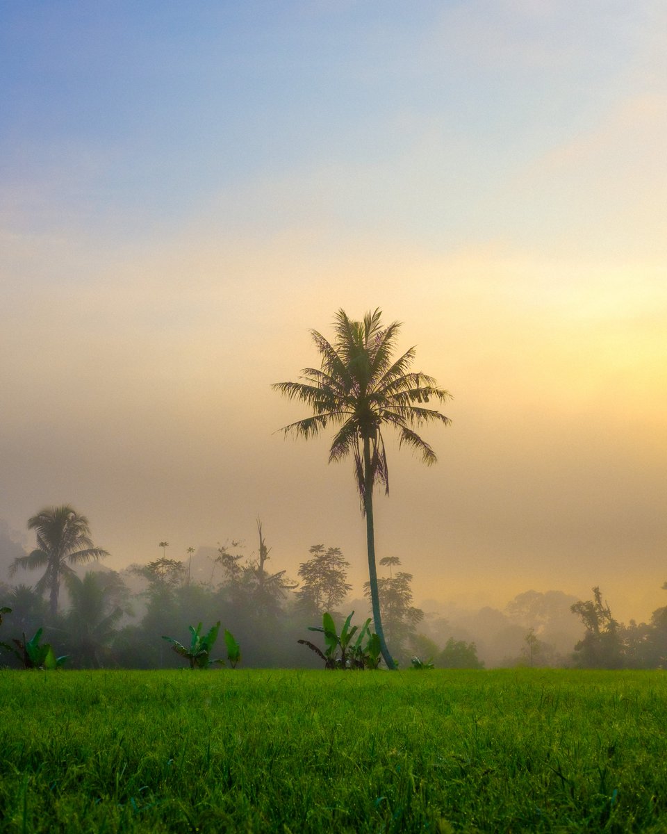 5 Tips Bikin Foto Jepretanmu Jadi Lebih Bagus

Gw mau rangkum beberapa tips sederhana tapi fundamental dalam motret. Mau pake kamera digital, analog, action, kamera HP, dll, tips ini bisa dipake.

Let's go!