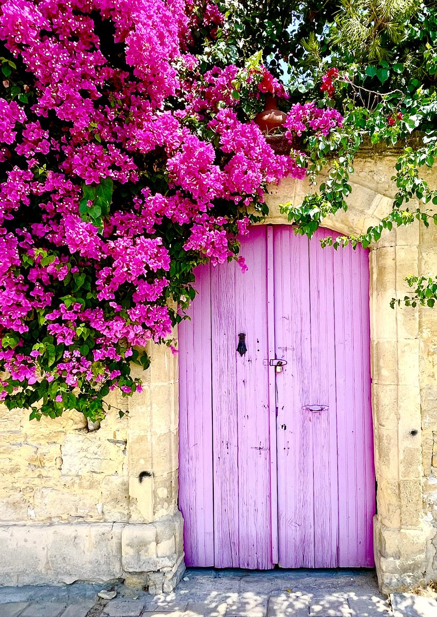 Dün Lefkoşa’da karşıma çıkan bu güzelliğin bayram sevincinize eşlik etmesi dileğiyle nice güzel bayramlara...