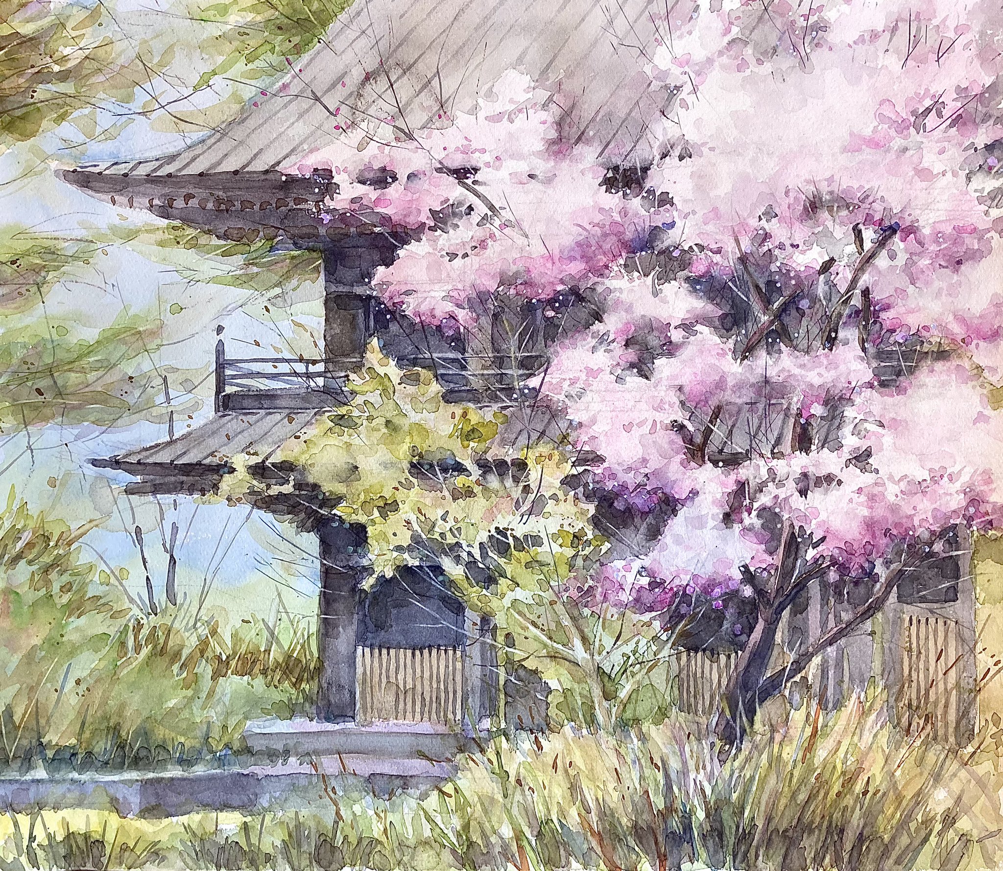 最終値下げ 284*静寂 原画 透明水彩画 絵画/タペストリ - alnmm.com