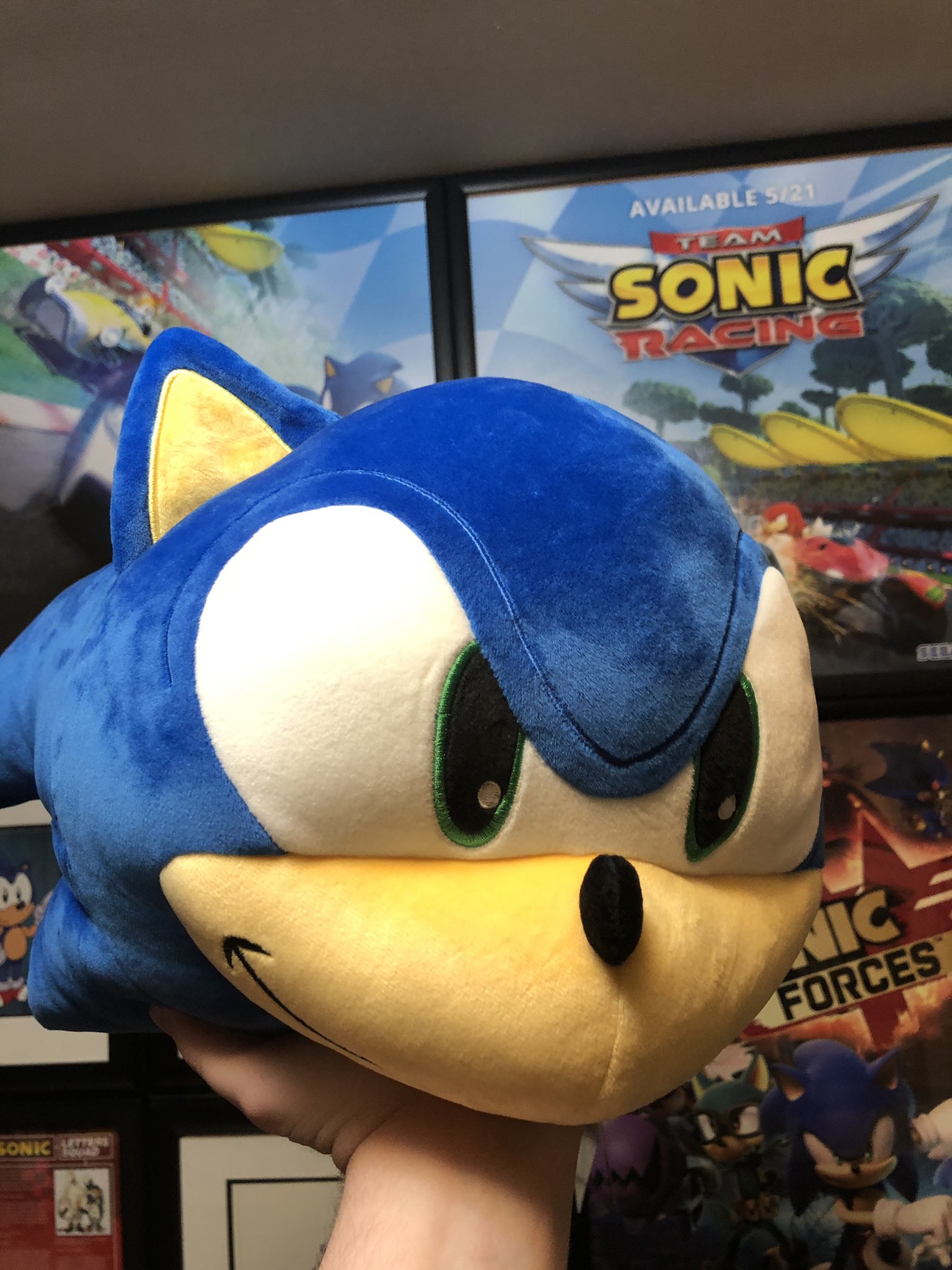 טוויטר Billy K בטוויטר Finally Found The Mocchi Mocchi Sonic Head Plush That One Way To Get A Head In Life C Mon That S Hilarious Sonicthehedgehog T Co 0qe4wxicpj