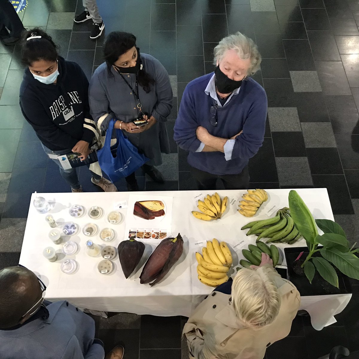 Lisa van den Berg (@l_vandenberg) on Twitter photo <a href="/QUT/">QUT</a> Centre for Agriculture and the Bioeconomy Showcase. First one of many! <a href="/QUT/">QUT</a> Centre for Agriculture and the Bioeconomy Showcase. First one of many!