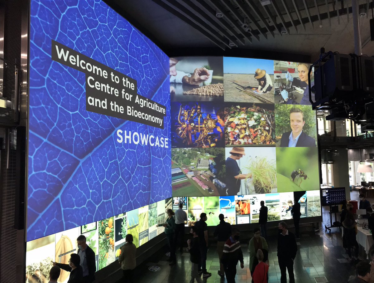 Lisa van den Berg tweet media