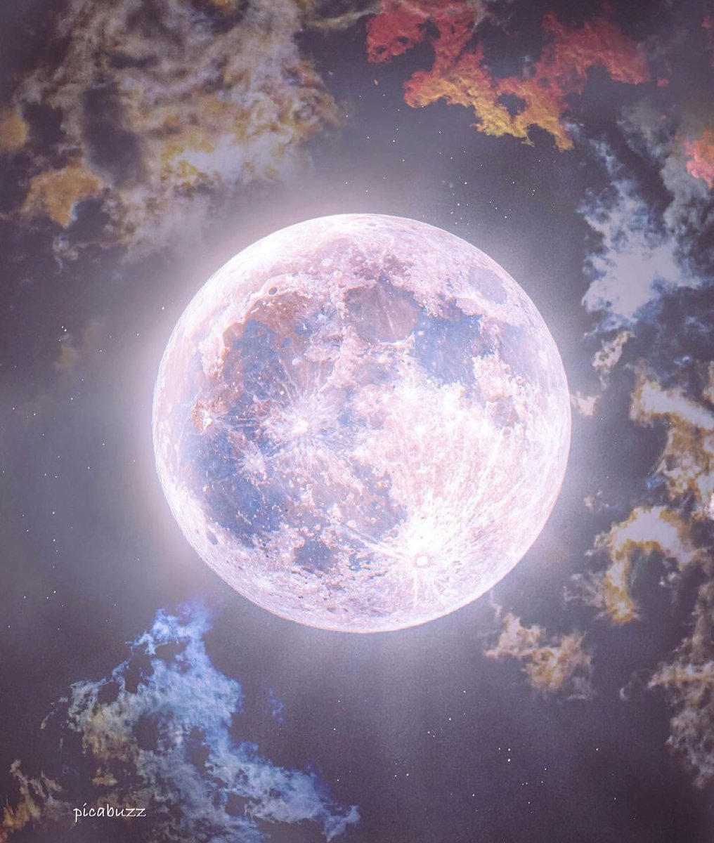 wildflowerdaysi's tweet photo. Happy #NationalMoonDay! ☾ https://t.co/kWy7qrXjTw
