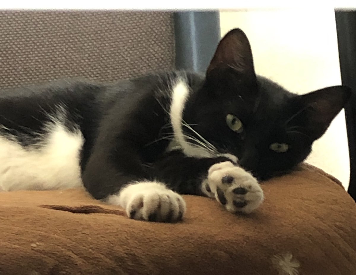 ブロードライン