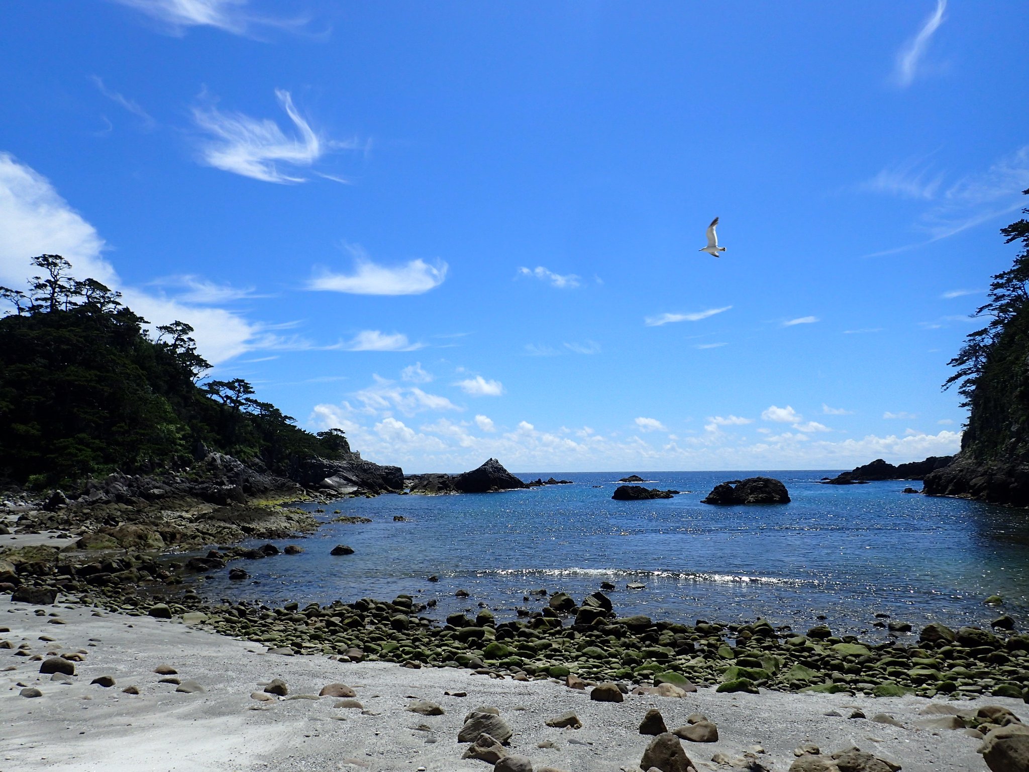 社 式根島観光協会 式根島観光協会 石白川海水浴場です 本日の海水温は 27 3 高いですね 入りたーい 社 式根島観光協会 式根島観光協会 石白川海水浴場です 本日の海水温は 27 3 高いですね 入りたーい