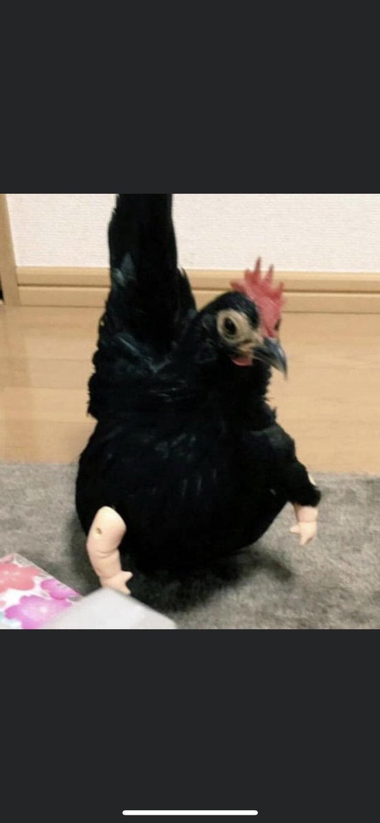 devon sawa tweet media