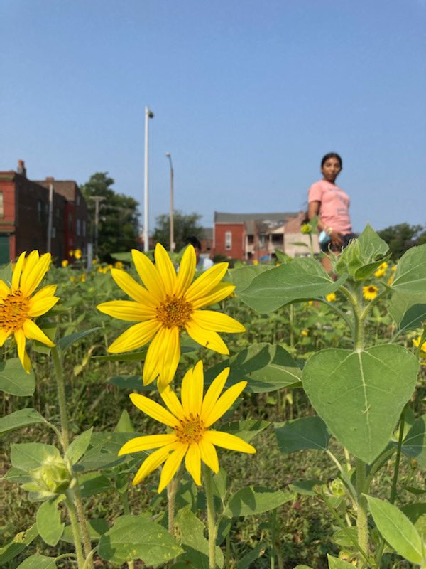 SDG Changemakers out exploring <a href="/ONSLRG/">Old North STL RG</a> today and learning more about the neighborhood. #GlobalGoals #USAforUN #stl