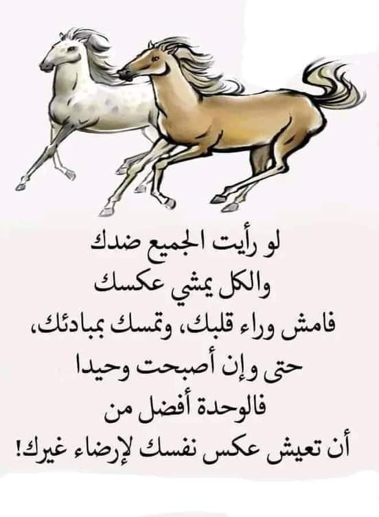 اللهم أصرف عنا شياطين الانس والجن يارب العالمين وصلى الله وسلم وبارك على سيدنا محمد