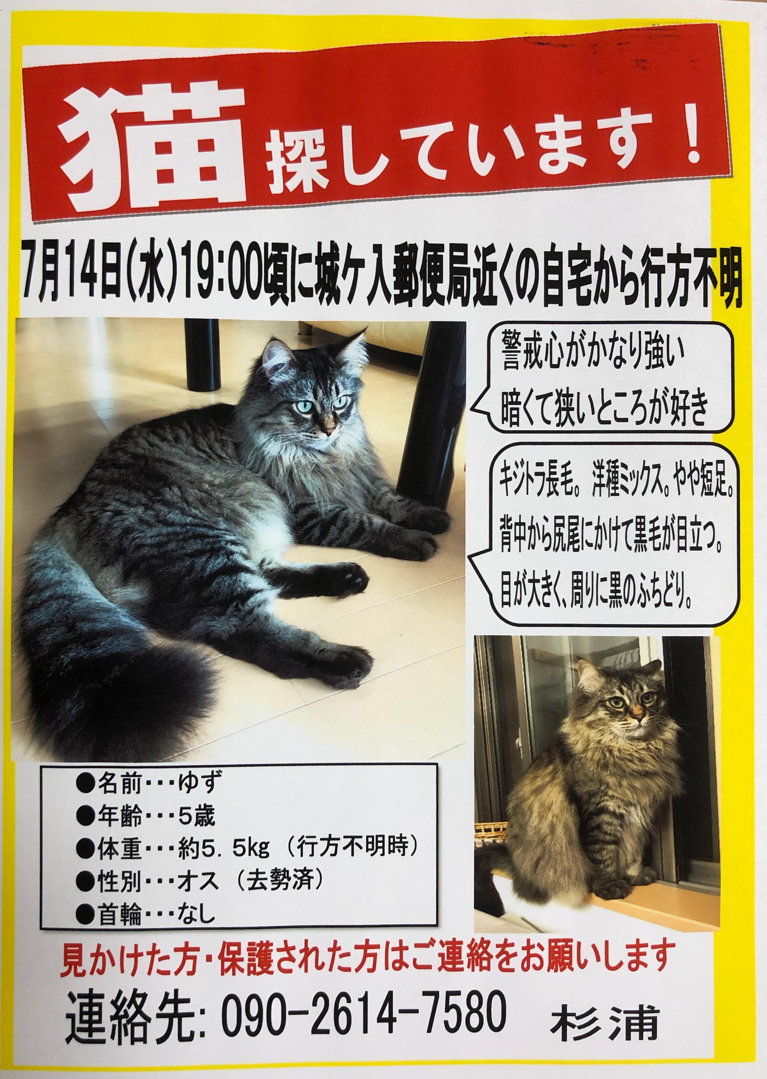 安城カフェ Twitter Search Twitter