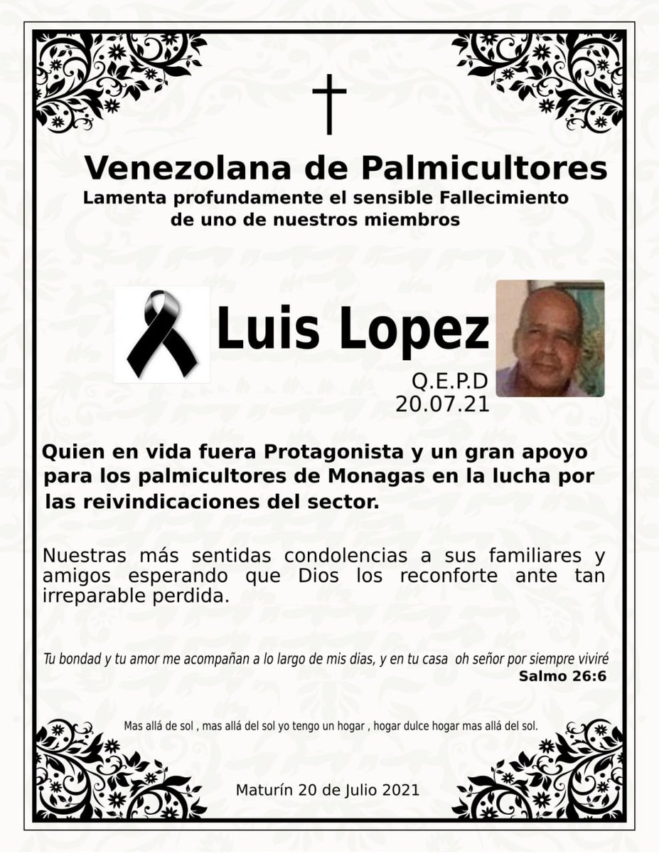 NotiPalma tweet media