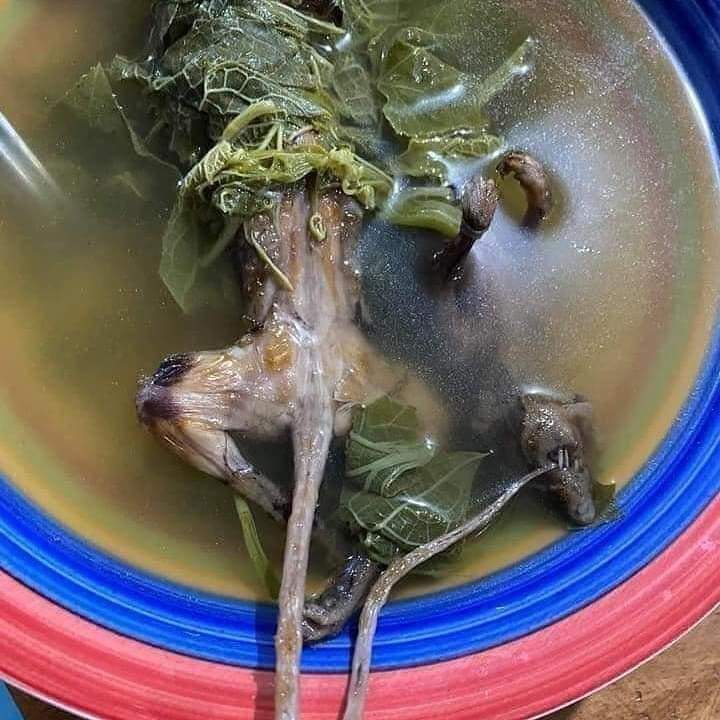 YaEsNoticiaMx's tweet photo. #Oaxaca | 🐀 ¿Se te antoja? La diputada federal de #Morena en Teotitlán de Flores Magón, Irma Juan Carlos apareció degustando un #CaldoDeRata, señalando que se trata de un platillo ancestral de Oxchuc.
#YaEsNoticiaMx | https://t.co/wuoCZq0UOc https://t.co/MO7I4E34nR