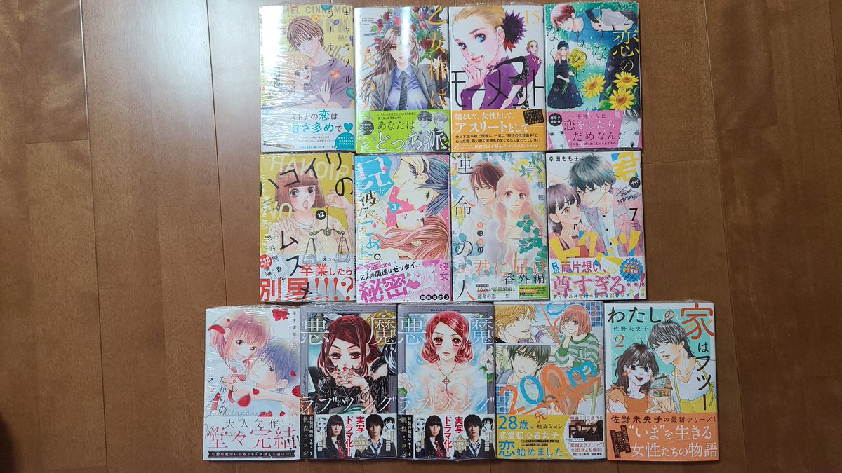 わたしの家はフツー わたしの家はフツー