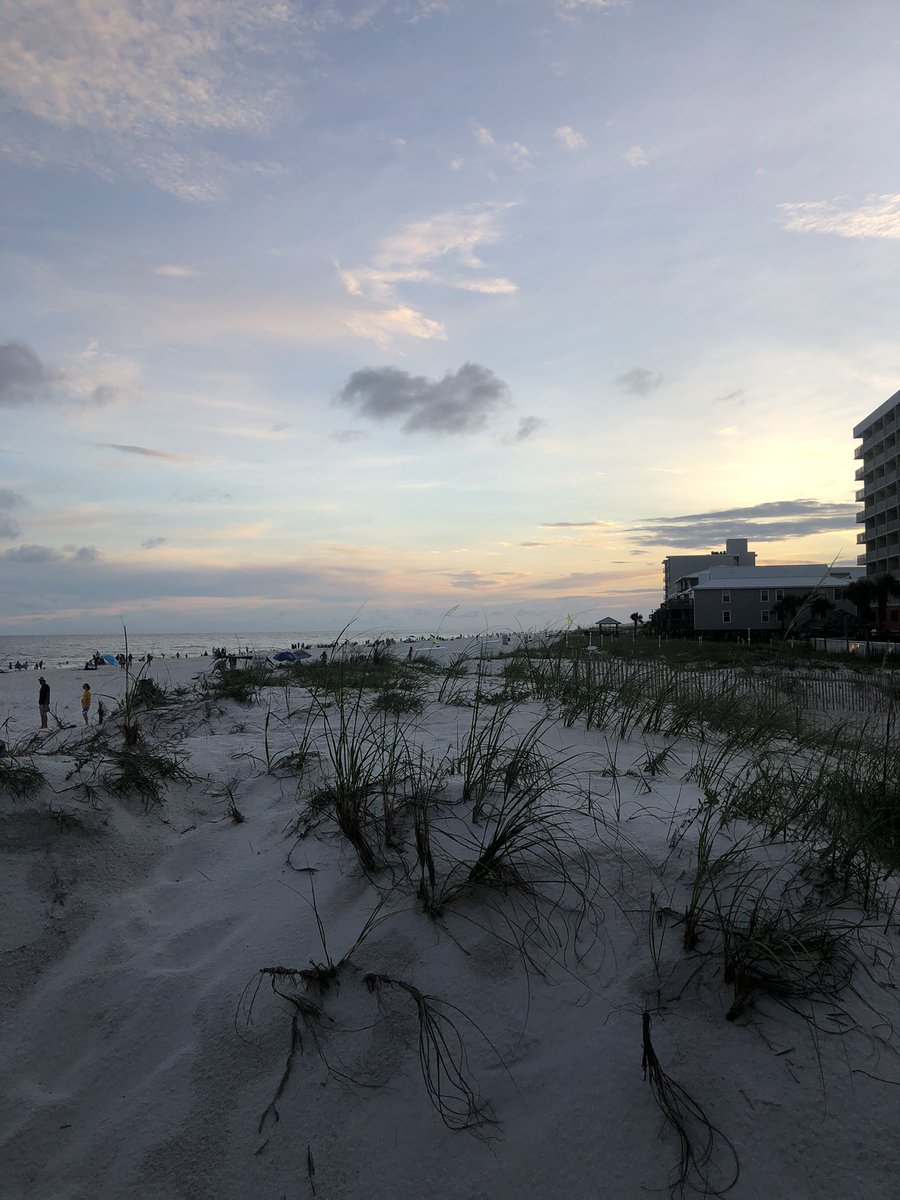 Nicole Penny ☀ tweet media