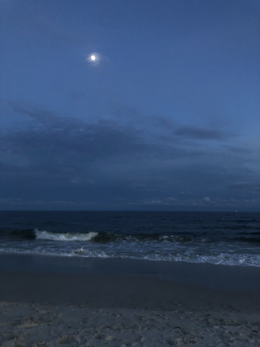 Nicole Penny ☀ tweet media