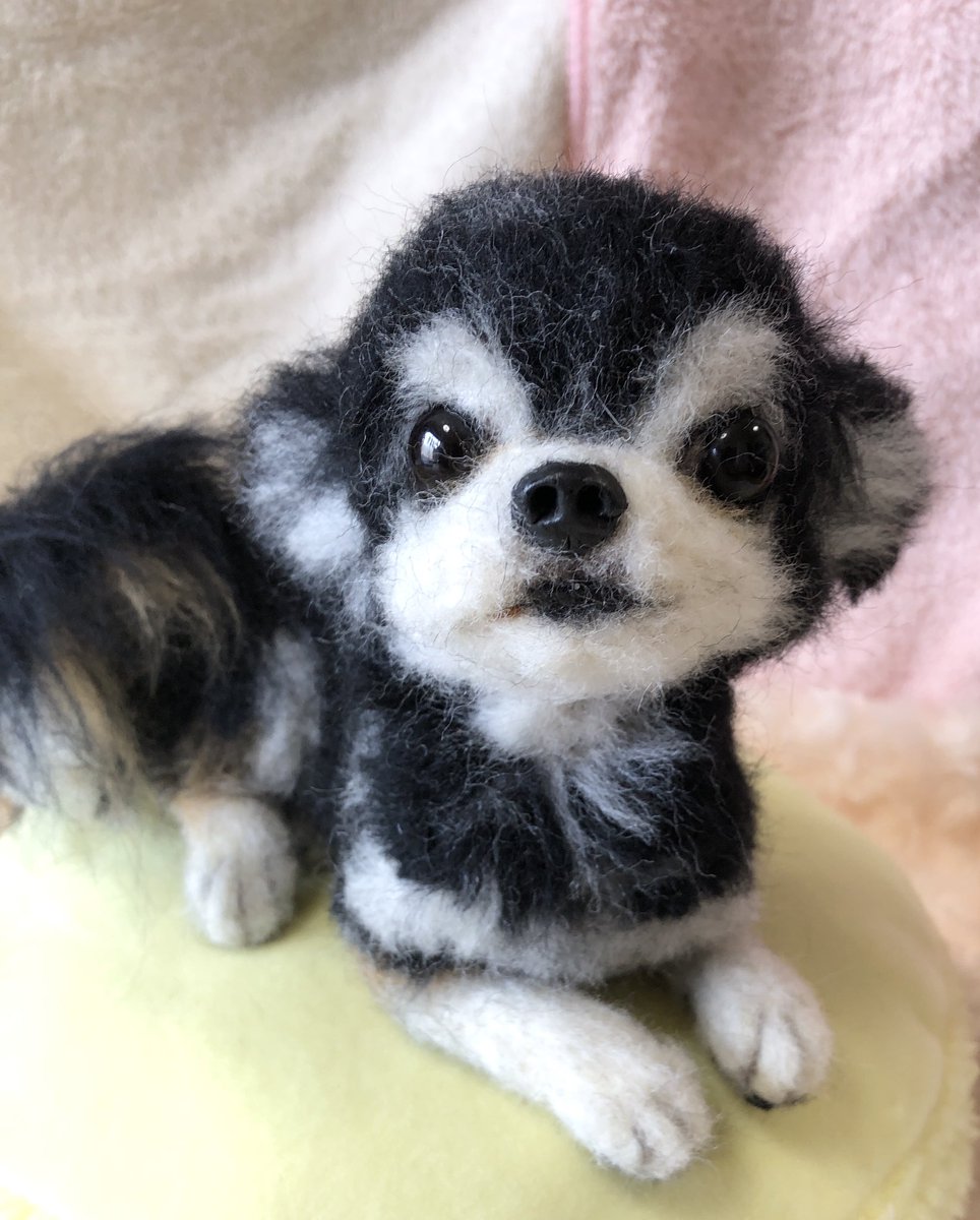 わたわたペット 中の人 S Tweet わたわたペットのわがまま聞いてください 勝手にikkoさんのペットさん達を数ヶ月前に心を込めて手作りしました 手元に置いておくつもりでしたが やはり お届けしたいと強く思うようなり 本日 インスタでもご紹介してます お力をお わたわたペット 中の人 S Tweet わたわたペットのわがまま聞いてください 勝手にikkoさんのペットさん達を数ヶ月前に心を込めて手作りしました 手元に置いておくつもりでしたが やはり お届けしたいと強く思うようなり 本日 インスタでもご紹介してます お力をお