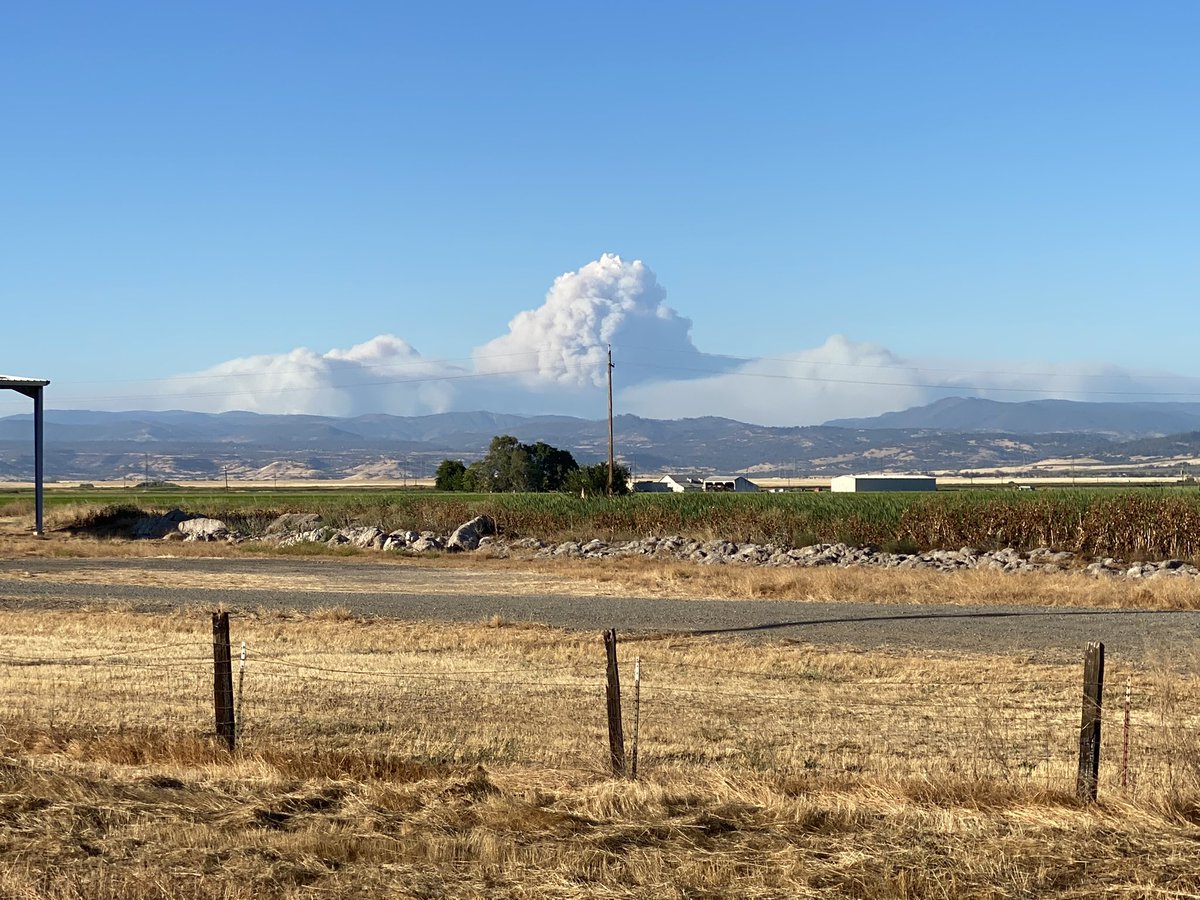 Em Berto tweet media